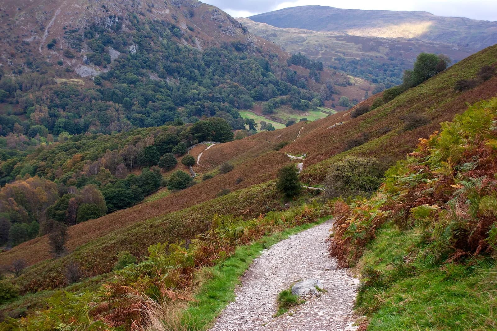 A stony path across the bracken slopes of Loughrigg Fell