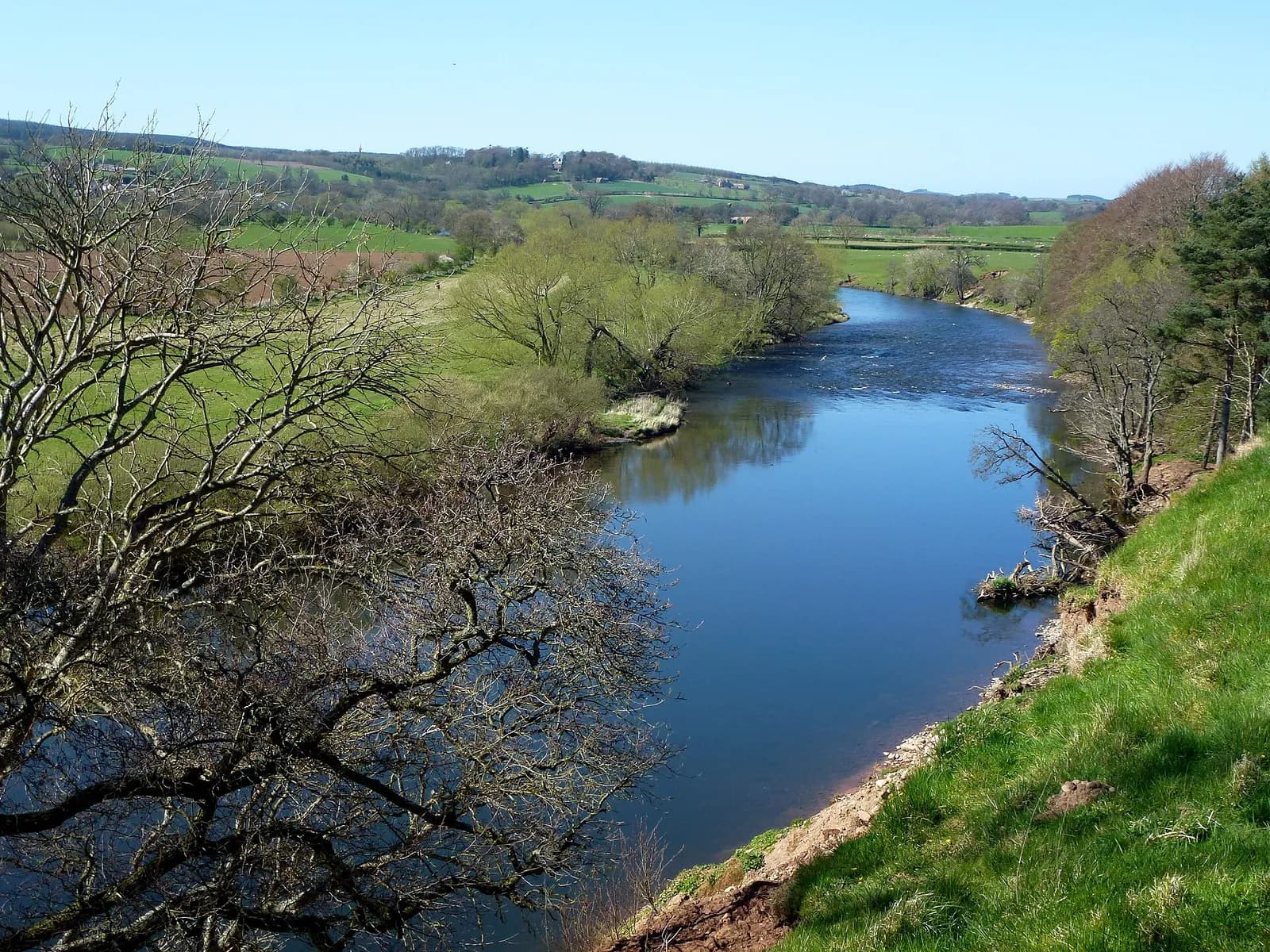 The River Eden winding through green farmland east of Lazonby