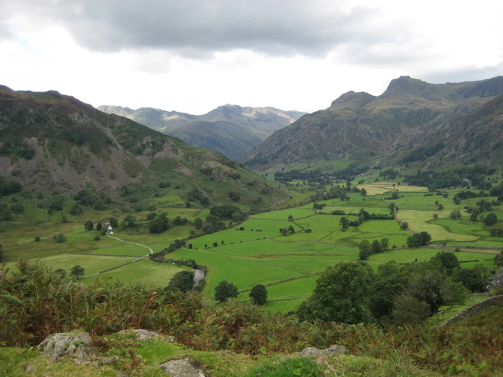 Green fields of Great Langdale running up the valley to the Langdale Pikes