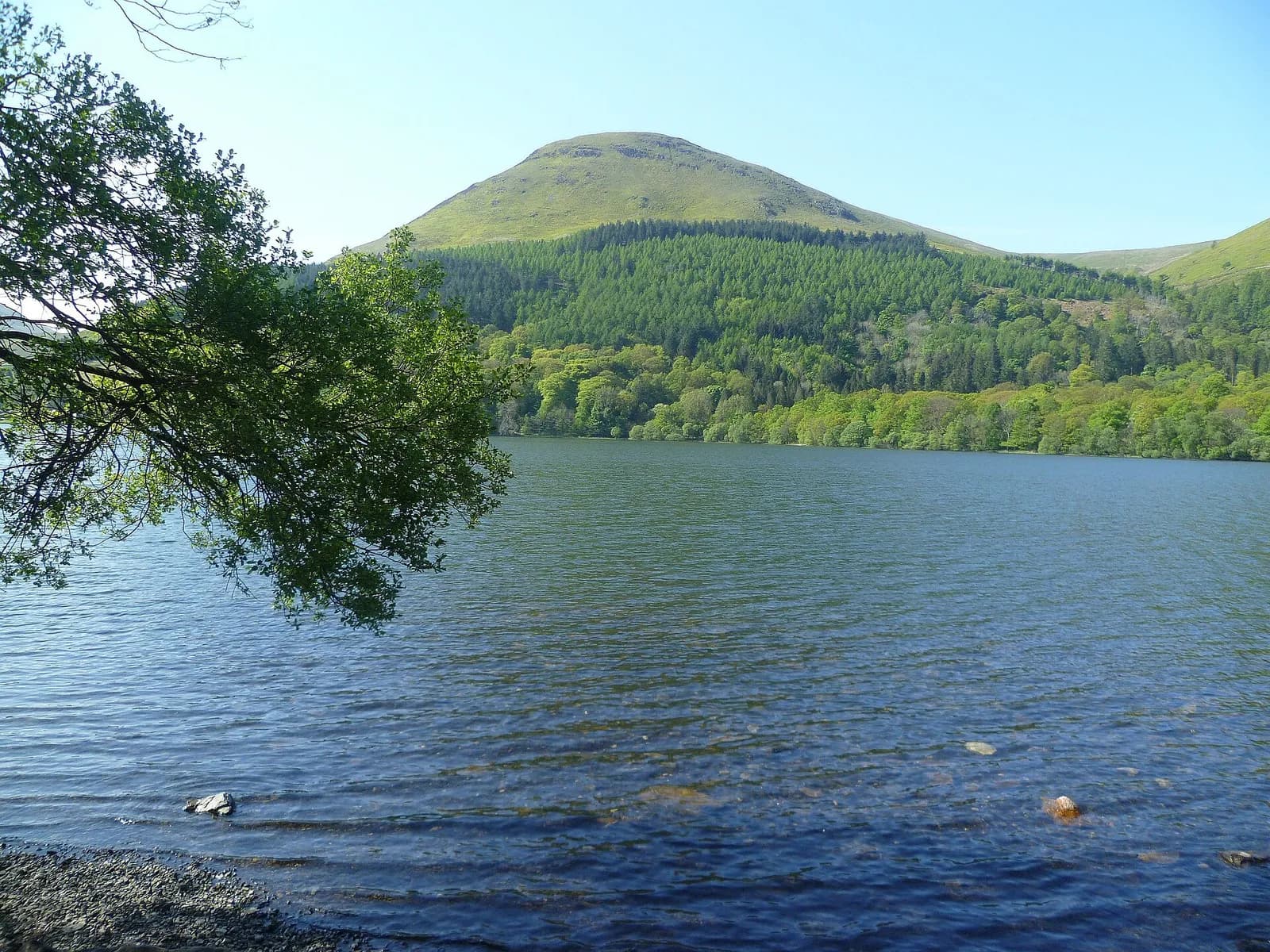 Loweswater under blue sky with Holme Wood and Burnbank Fell across the water