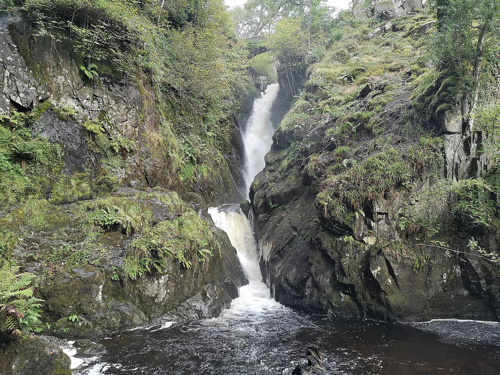 Aira Force dropping through its narrow fern-lined rock gorge
