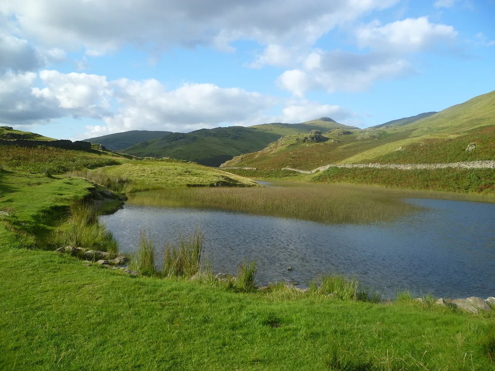 Alcock Tarn, a reedy fellside tarn above Grasmere, under a bright sky