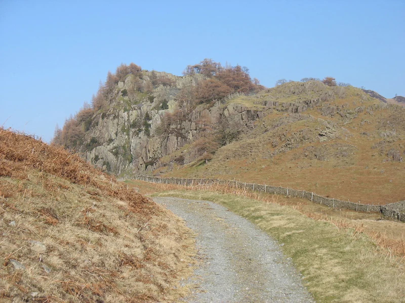 The wooded rocky knoll of Castle Crag above a track in Borrowdale