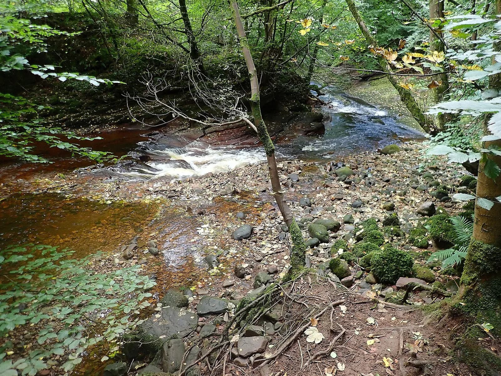 The River Gelt running through Gelt Woods near Brampton