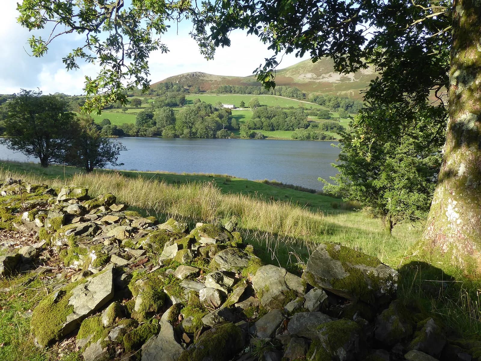 Loweswater seen through the trees near Holme Wood