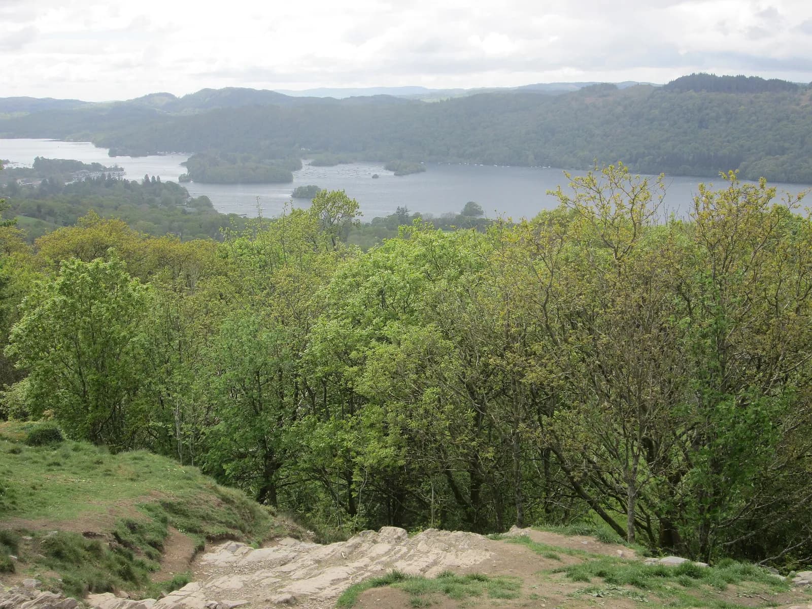 Windermere beyond the treetops from the top of Orrest Head
