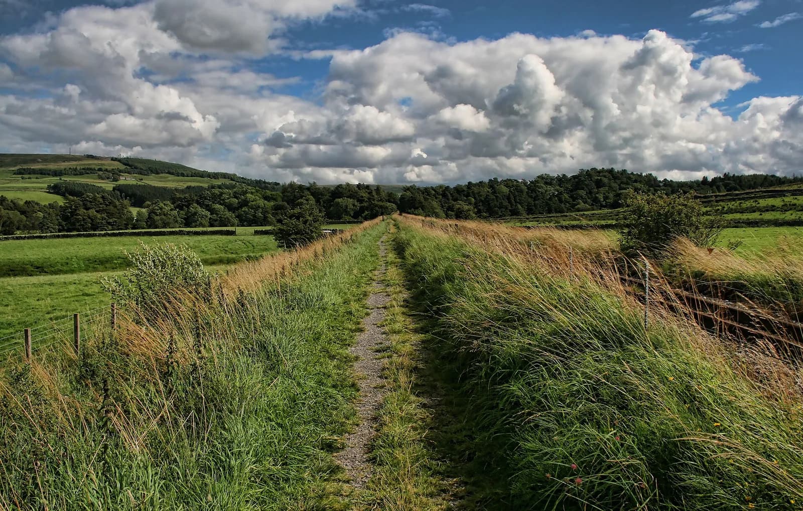 The grassy line of the South Tyne Trail running across open fields
