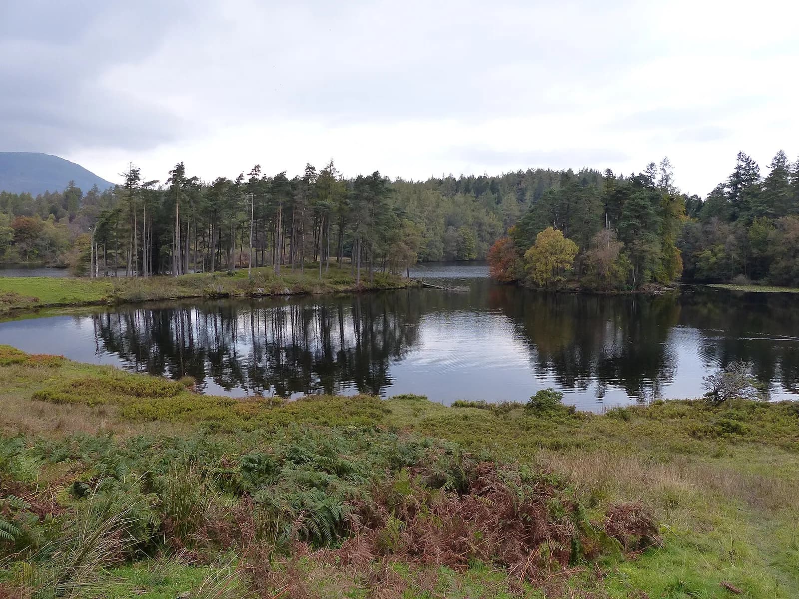 Tarn Hows with its wooded islands reflected in still water